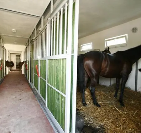 Venkovský dům Czajlik Ranch