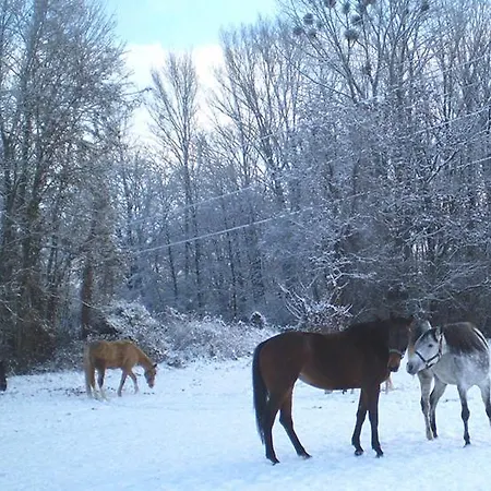 Czajlik Ranch Dunajský Klátov