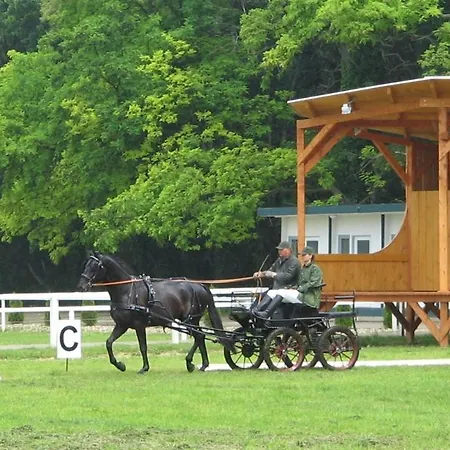 Venkovský dům Czajlik Ranch Dunajský Klátov