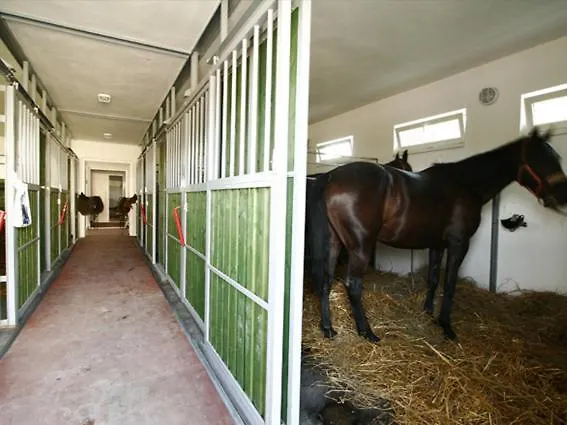 Летний дом Czajlik Ranch