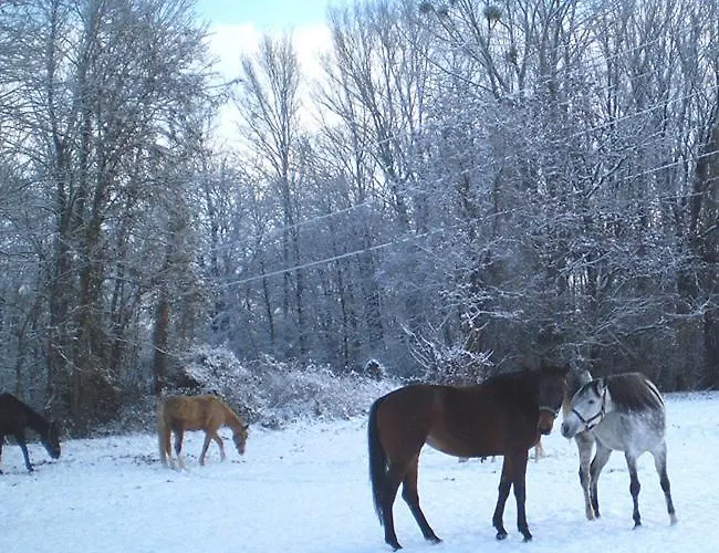 Czajlik Ranch Dunajsky Klatov