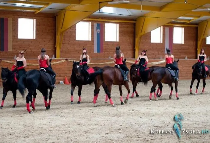 Czajlik Ranch Летний дом Dunajsky Klatov
