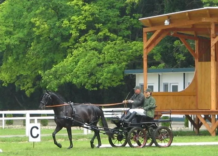 Летний дом Czajlik Ranch Dunajsky Klatov