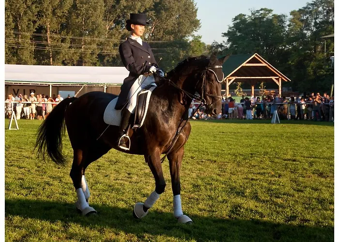 Czajlik Ranch Летний дом Dunajsky Klatov
